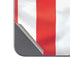 Puerto Rico Flag Google Pixel 9 Pro Fold Skin